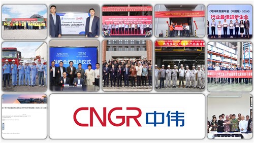 材料至善 科技致偉｜中偉股份2024年度十大事件